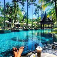 Отзыв от Алина - Visa DTV